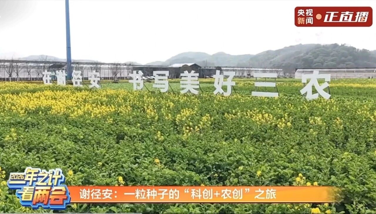 1773386122468082LIjF.jpg 33.jpg