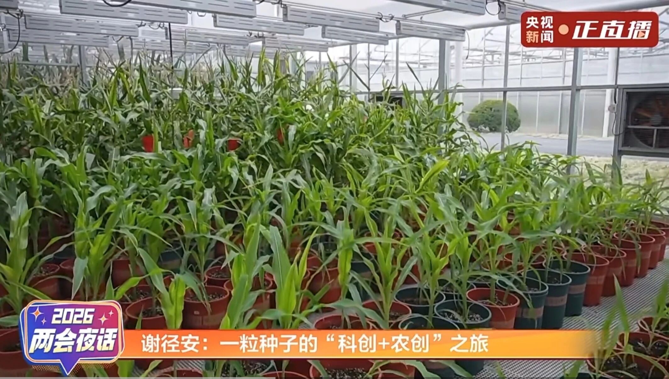 17733862419721056Fdo.jpg 55.jpg