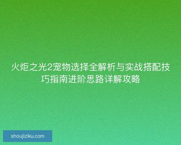 火炬之光2宠物选择全解析与实战搭配技巧指南进阶思路详解攻略 火炬之光2宠物选择全解析与实战搭配技巧指南进阶思路详解攻略